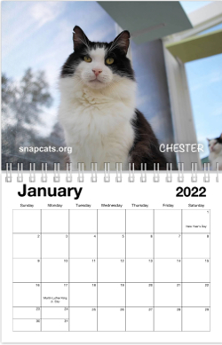 Srjc Calendar 2022 2022 Snap Cats Calendar – Snap Cats