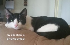 bw450myadoptionissponsored